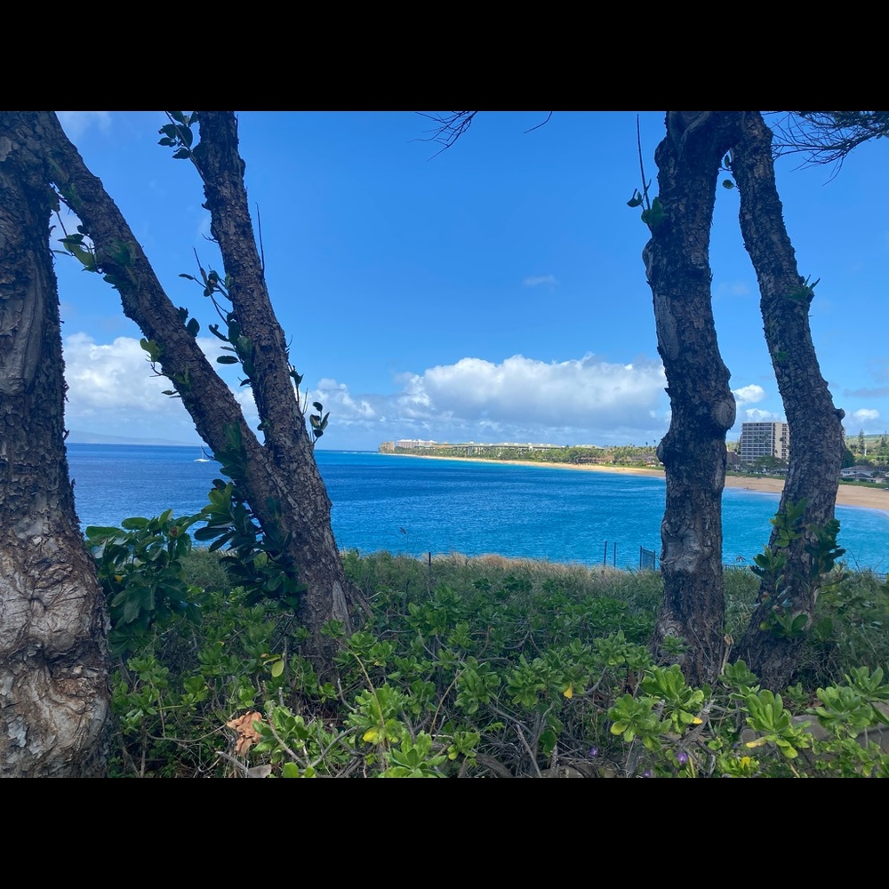 Meet your Posher, Jessy